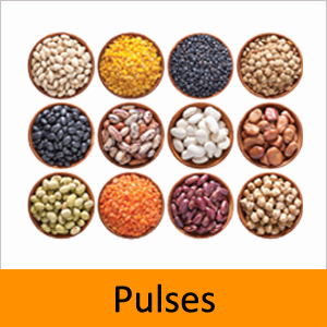 Pulses
